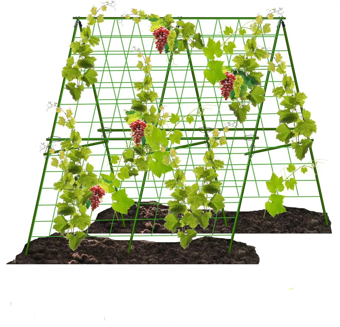 DD2611 Vegetable Bean Plant Rack Trellis Triangular Slope Bracket Vine Planter Climbing Support Garden Stake