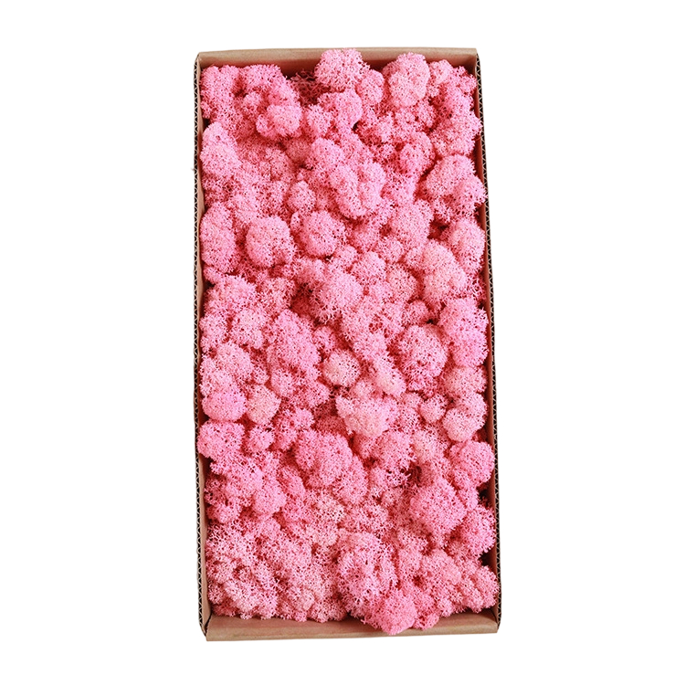Light Pink 500g