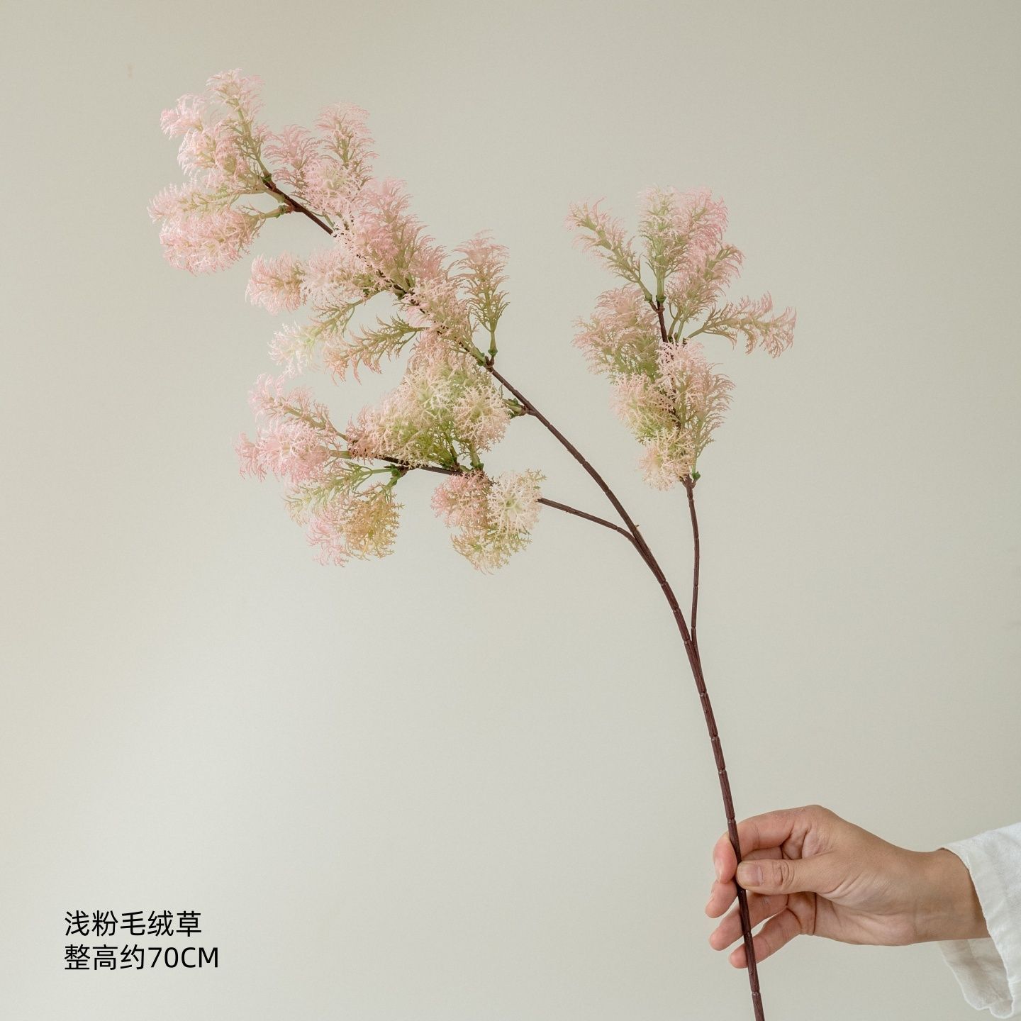 Light pink plush grass