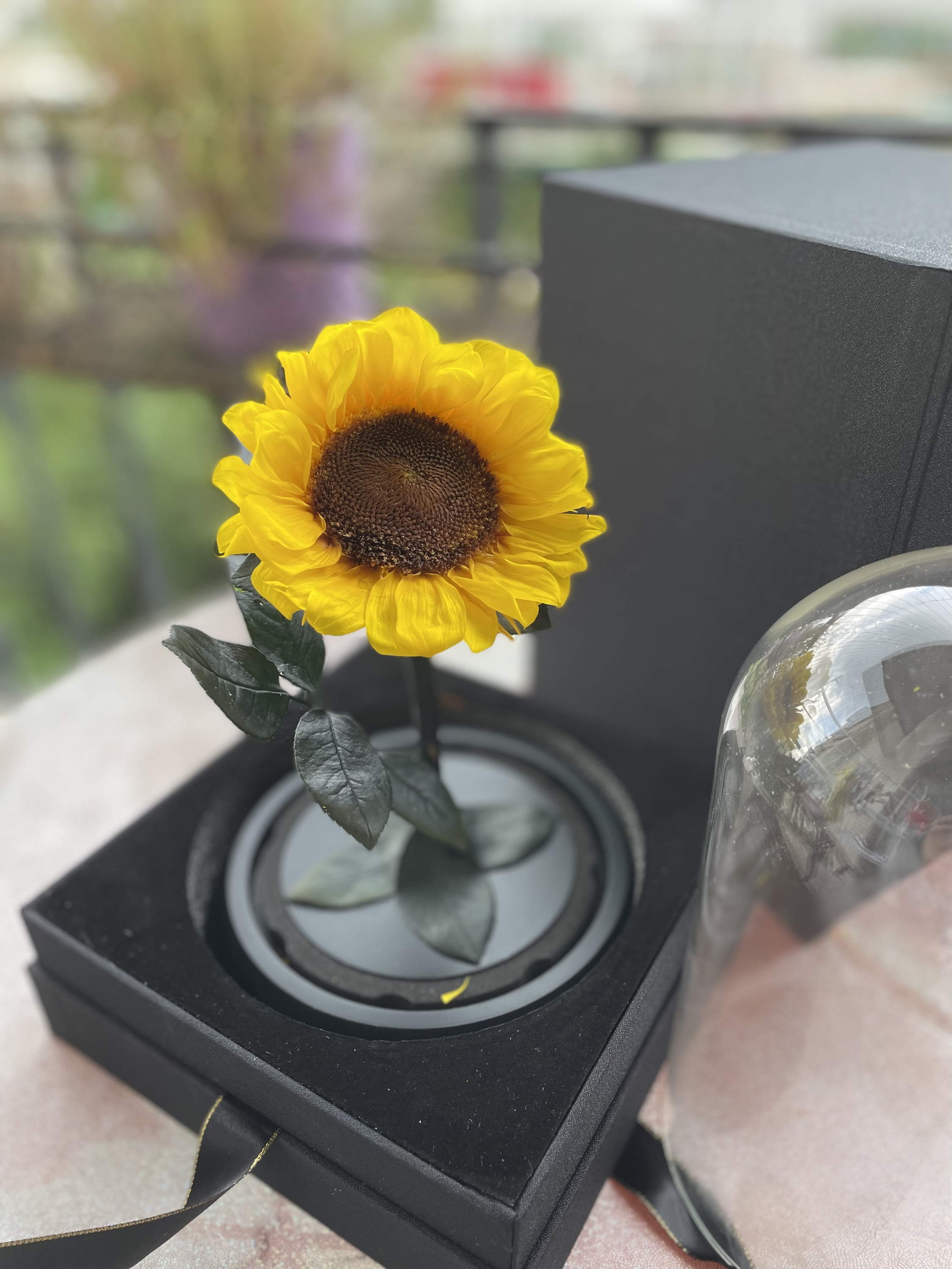 Girasol (15*30cm)