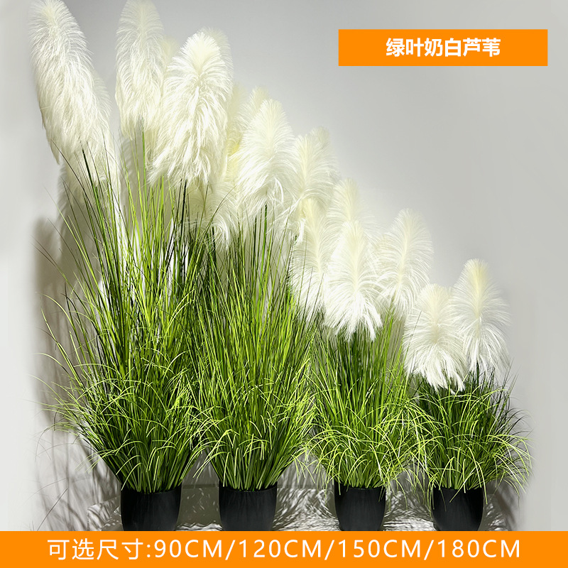 Feuilles vertes et roseaux blanc laiteux