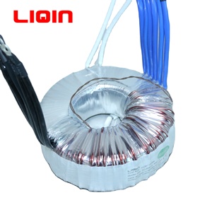 トロイダルコア50W-5000W入力220V出力12V13V14V電圧変換器用電源トランス - Product Image 2
