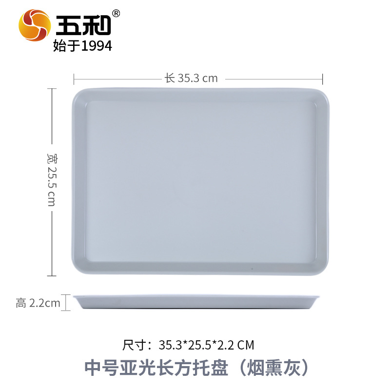 Medium-sized matte rectangular tray 4037C (smoked gray)