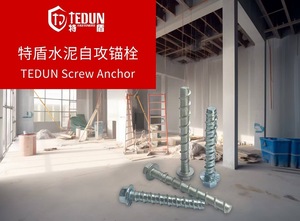 Nóng tự khai thác bê tông vít Neo SS316 bu lông xây Vít bê tông bu lông Neo bê tông cho các dự án - Product Image 4