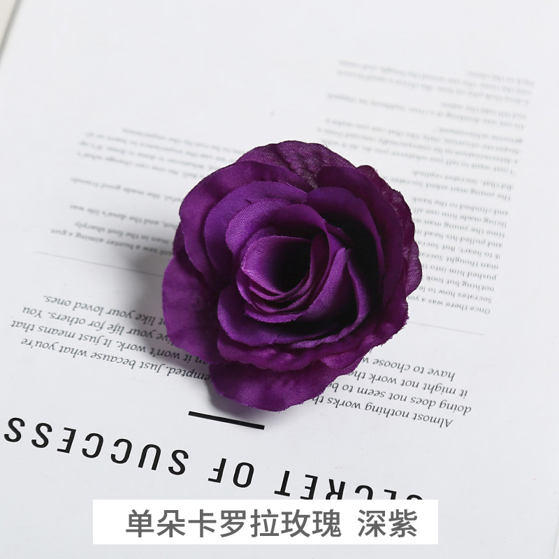 Rose simple de corolle pourpre profond