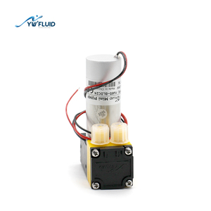 YW05-A-BLDC 12V24Vブラシレスダイヤフラムポンプシングルヘッドオイルフリー淡水ポンプミリリットル/分エアダイヤフラムポンプ3L/min - Product Image 1