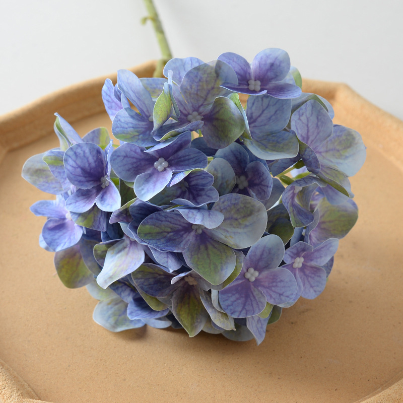 Pellicola ortensia blu viola
