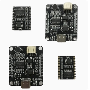 ASR-PRO ses akıllı konuşma tanıma kontrol modülü AI çevrimdışı tanıma geliştirme kurulu özel şartları - Product Image 5