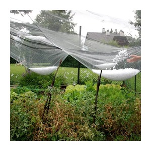 Çin üretici 100% bakire Hdpe Uv dayanıklı tarım elma meyve bahçeleri Anti Hail fırtına koruma ağı için elma ağacı üzüm - Product Image 1