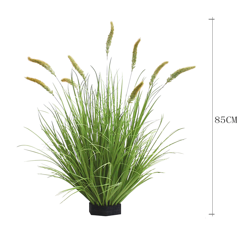 Verde 85cm