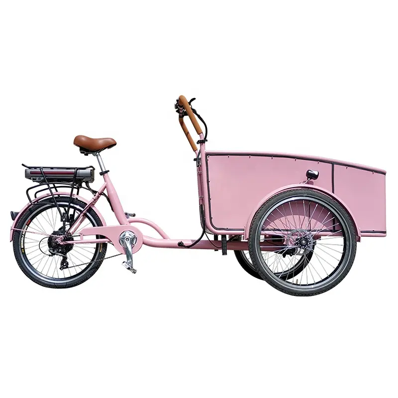Sepeda roda tiga listrik, desain modis untuk 4 anak-anak kargo besar dua roda depan sepeda