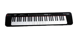 BDMUSIC 61 Tasten Tastatur Klavier tragbares elektronisches Organ Teclados Synthesizer studenten musikalische digitale Tastatur im Verkauf - Product Image 2