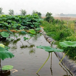 <strong>HDPE</strong> 0.5mm 1mm 1.5mm 2mm Waterproof Geomembrane Dam Pond Liner Price <strong>HDPE</strong> Geomembrane - Product Image 1