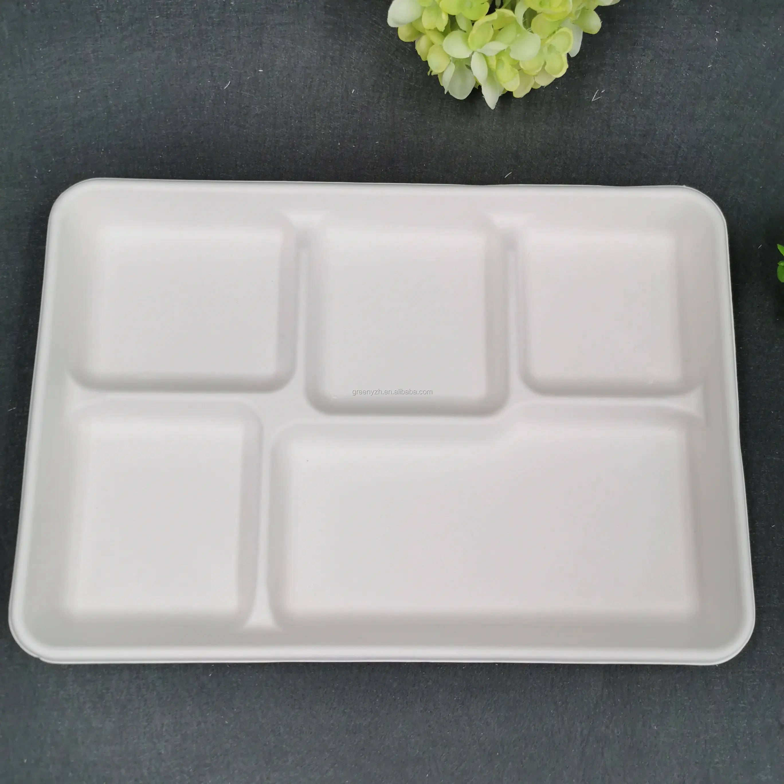 Contenitore per alimenti compostabile platos imballaggio biodegradabile bagassa vassoio a 5 scomparti piatti usa e getta