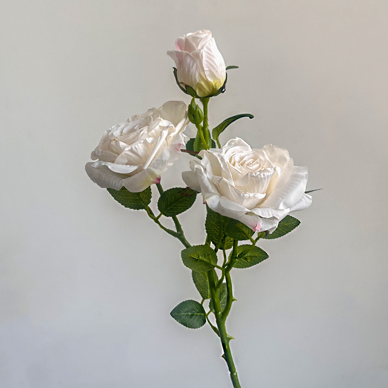 Rose blanche/vintage 3 têtes