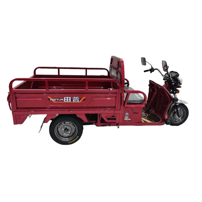 New Design Price Three Wheel 2000 Watt Adult 3 Cycle Utility Vehicle Ev Car Made In China Electric Tricycle