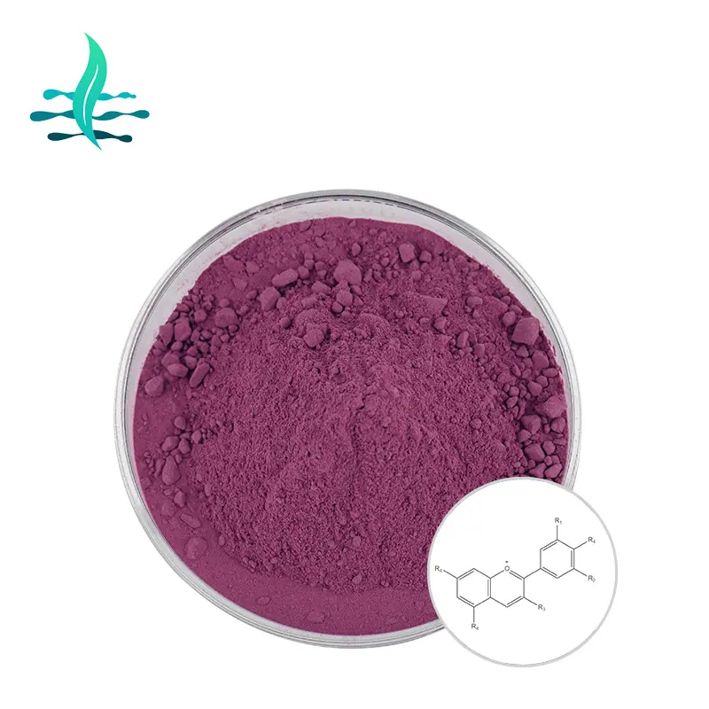 Anthocyanin Anthocyanidins Huckleberry Chiết Xuất Từ Quả Việt Quất