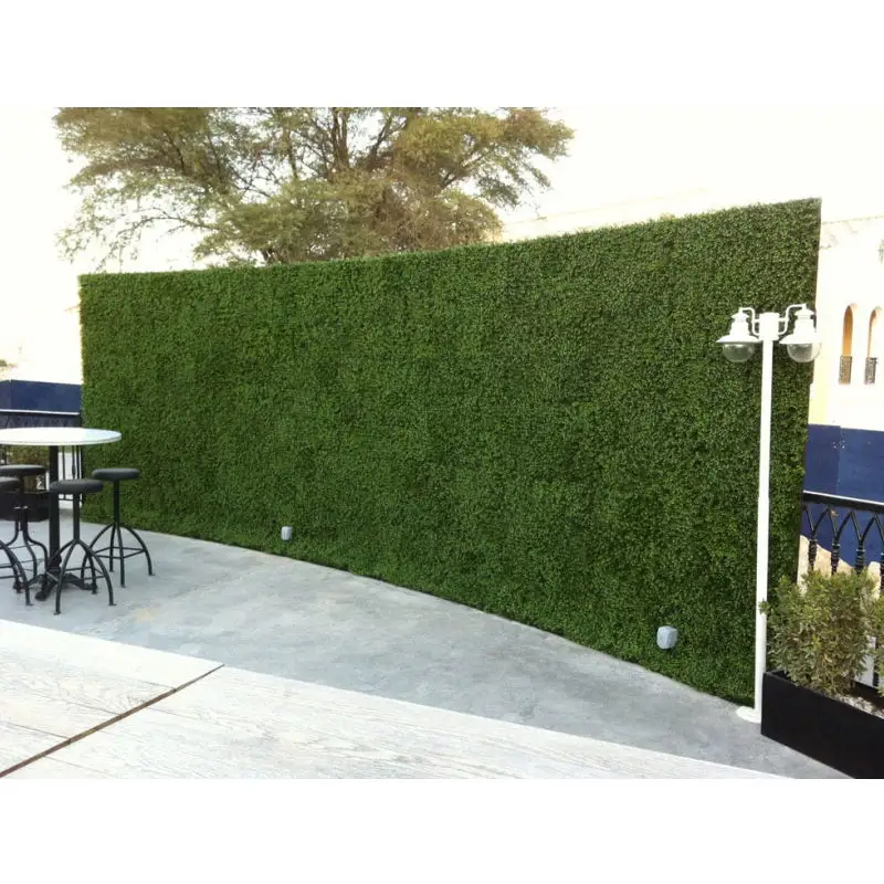 Parete della pianta del pannello di plastica trasparente artificiale dell'interno 50x50 piante rampicanti coperta cortile verde pareti fogliame su misura