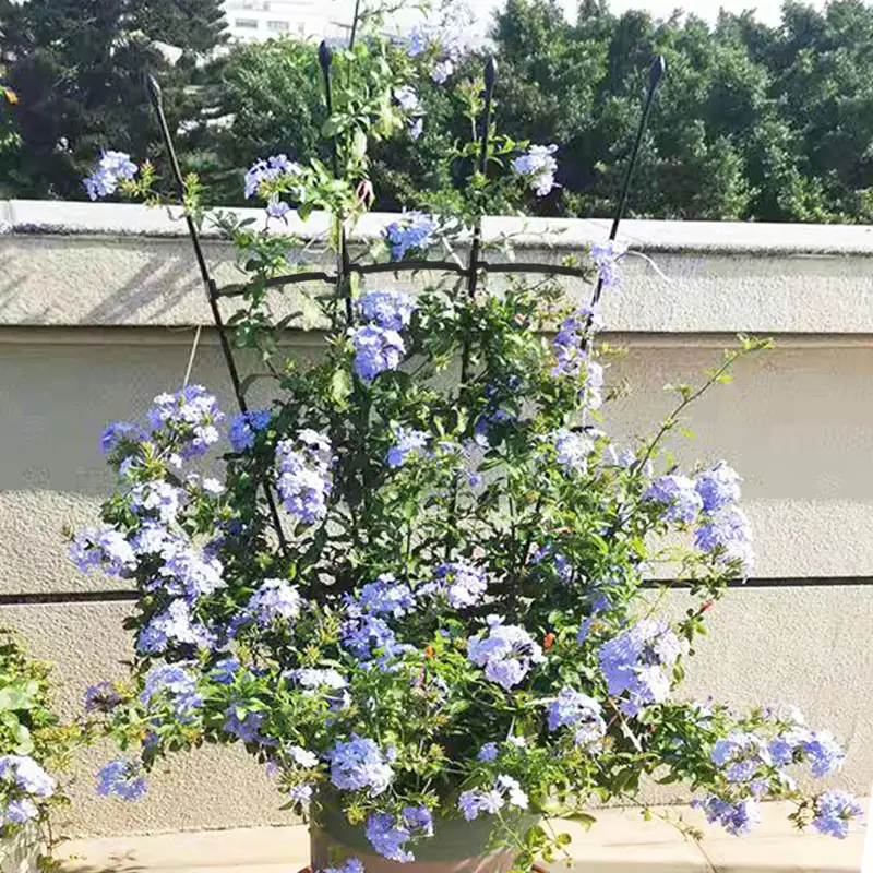 Trelipes de plástico para jardim, plantas de escalada suporte para vinhas e plantas de escalada