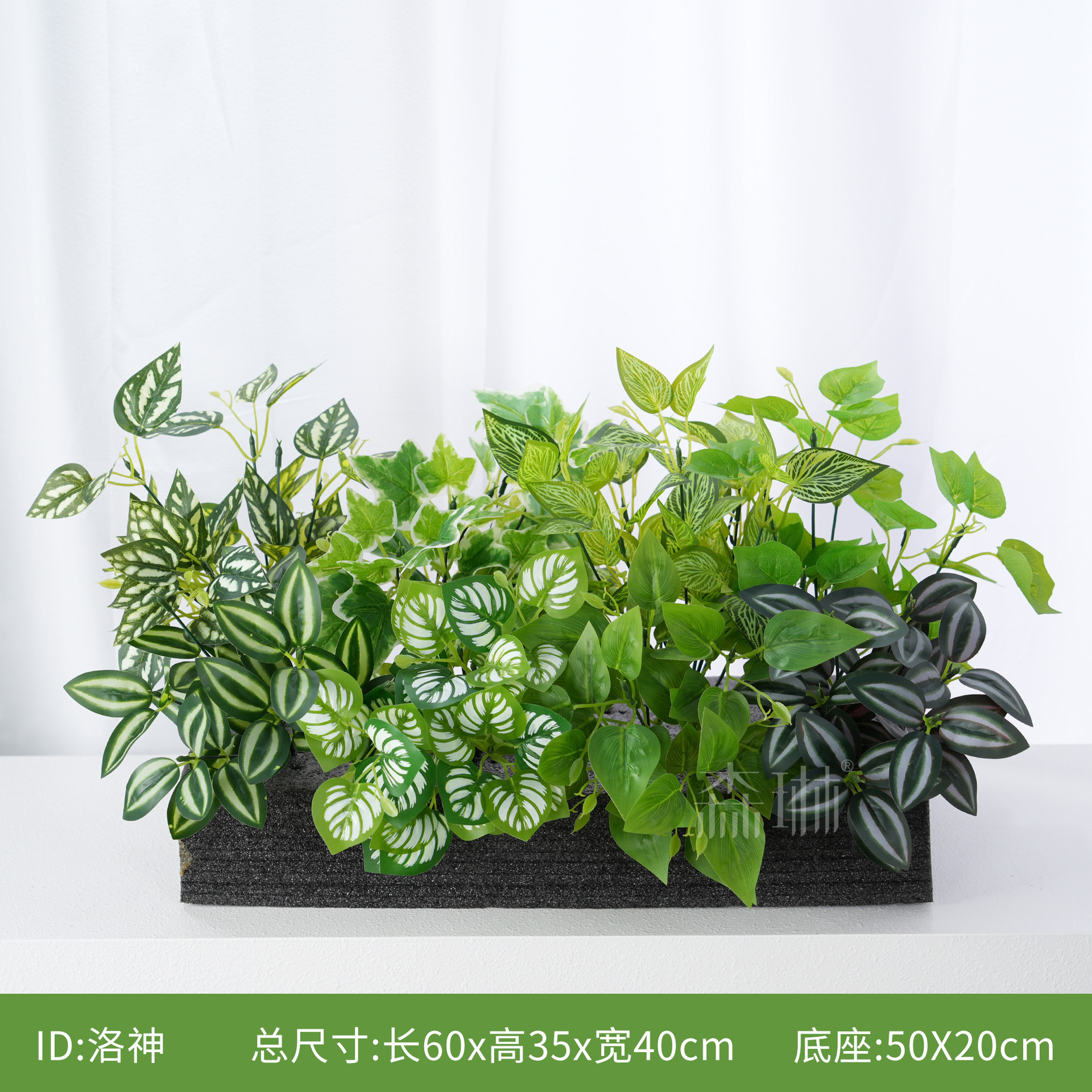 Luoshen (Convient aux jardinières de 60 cm)