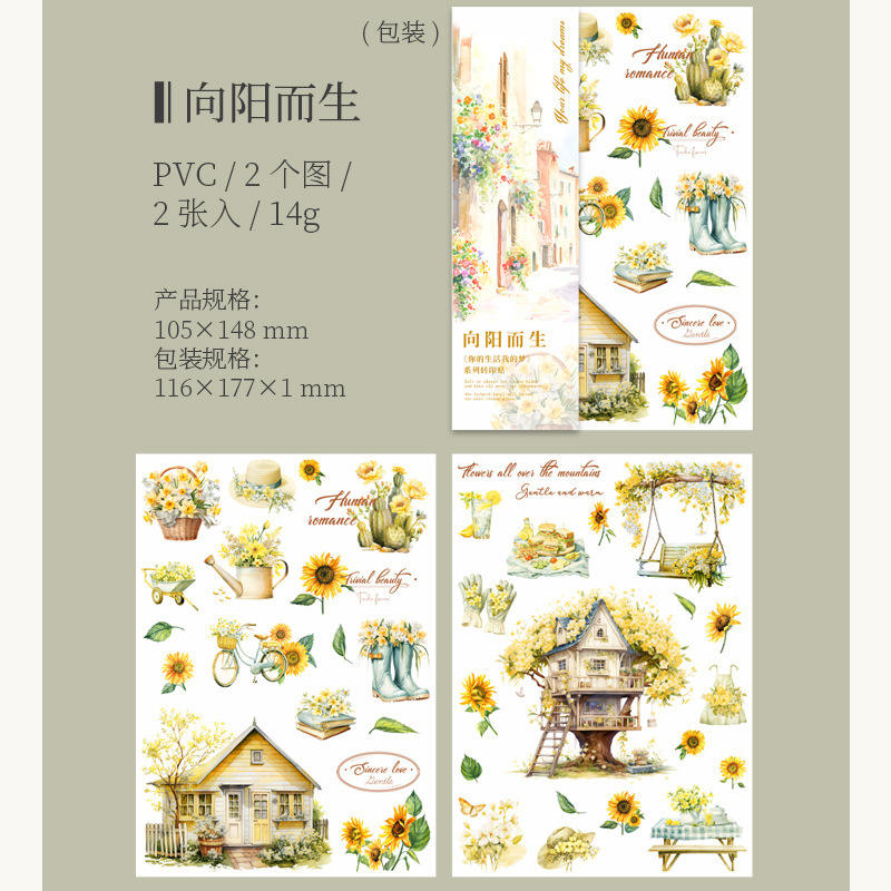 D grows towards the sun