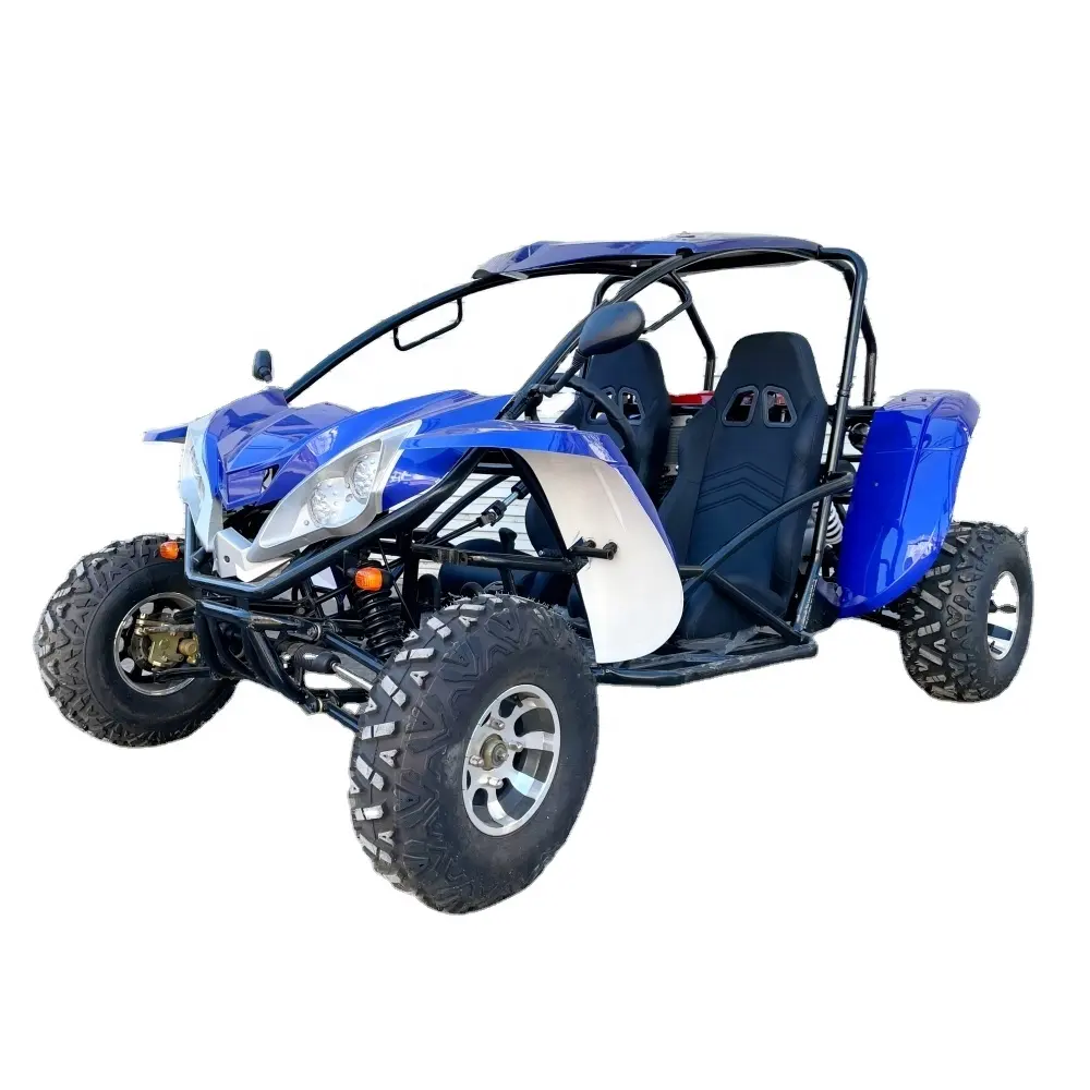 Lna Sterk Klinkende Motor 300cc Off-Road Duin Buggy