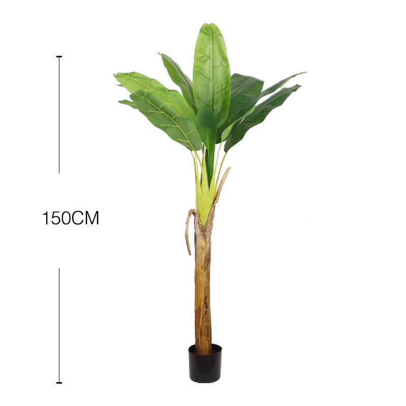 150 centimetri