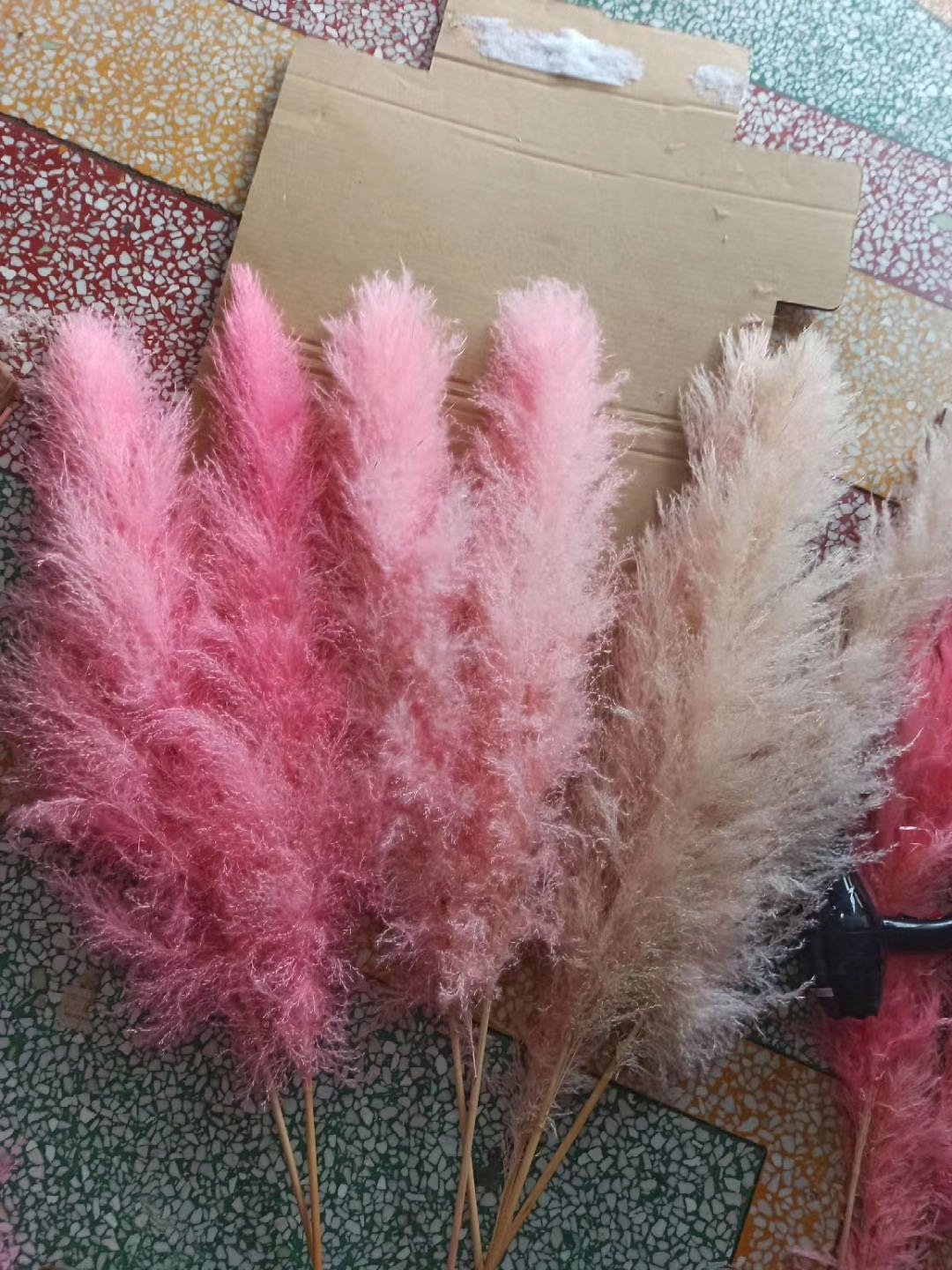 plume over 70cm