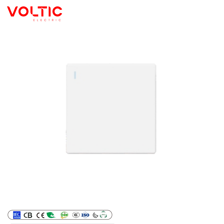1 gang 1 way plate switch