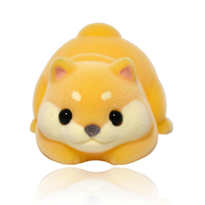 Couleur de tournesol-shiba inu