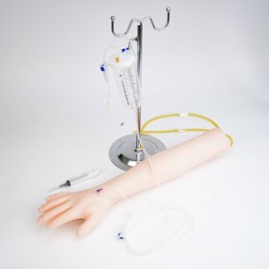 แบบจำลองแขนฝึกหัด MEDICPAD IV สำหรับการฝึกฉีดยาและเจาะเลือด สำหรับโรงเรียนและโรงพยาบาล - Product Image 5