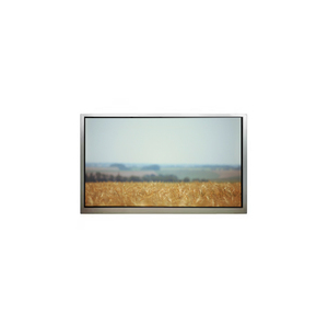 <span class=keywords><strong>Claa215fa01</strong></span> v2 1920*1080 למסך שולחן העבודה מסך מודול lcd 21.5 אינץ'