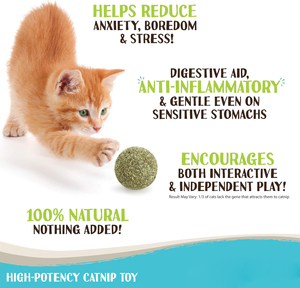 Raw Paws Catnip Balls Interactive Cat Toy for Indoor Kitten Toys Cat <strong>Nip</strong> Lick Ball <strong>Nip</strong> Natural Catnip Ball for Cats All Breeds - Product Image 4