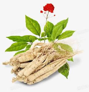 Reain Ginseng kökü ekstraktı toz Ginsenoside Rg3 21% Ginsenoside Rh2 9.5% sağlık takviyesi için - Product Image 2