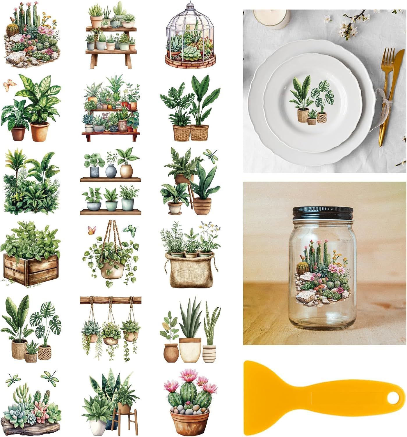Piante in vaso verdi