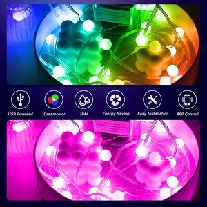 Рождественские огни, меняющие цвет - Product Image 6