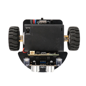 2WD Mini Hindernis vermeidung roboter Automotive Kit STEM Education Intelligente Programmierung für Arduino Micro bit V2 Robotics Kits