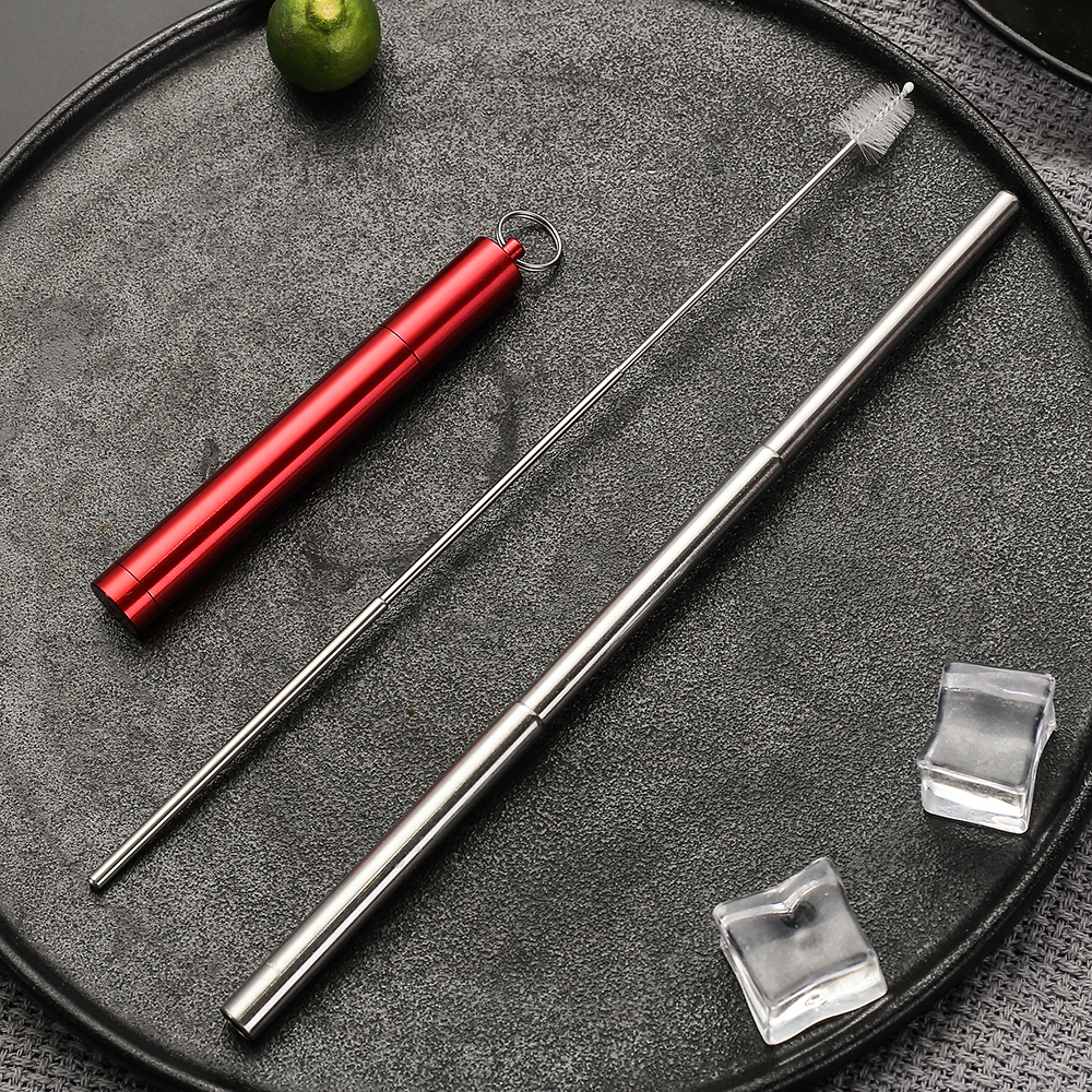 Pajita plateada + funda roja