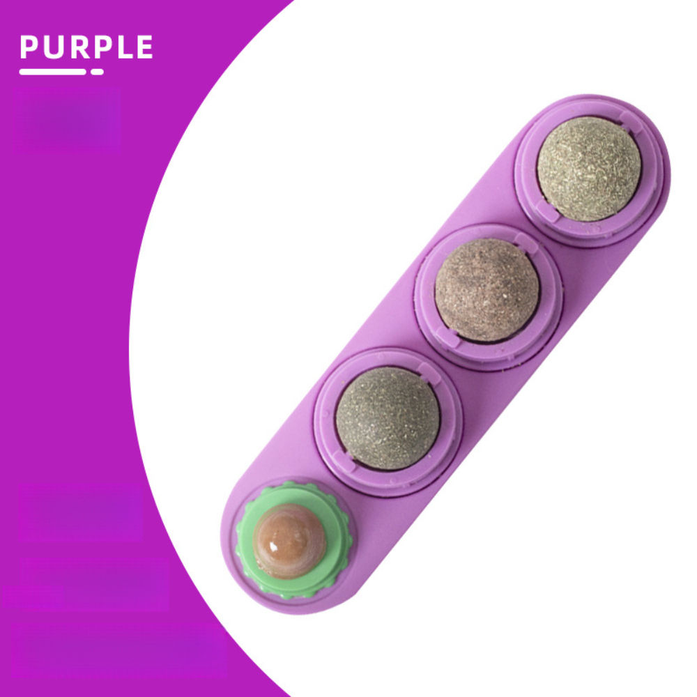 Pourpre