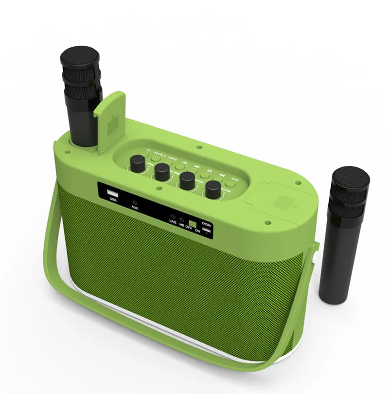 50W Karaoke altoparlante Bluetooth portatile supporto per il cambio vocale ingresso strumento DSP TF Card Driver Flash USB BT5.0 altoparlanti