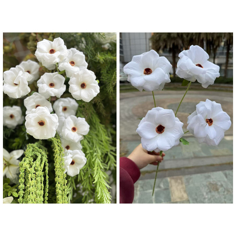 4 Pivoines Papillon Blanches