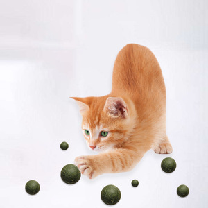 Juguetes de hierba gatera para mascotas Bola de hierba gatera comestible Seguridad Gato saludable Menta Juego de persecución en casa Productos de juguete Limpiar los dientes El estómago Menta - Product Image 2