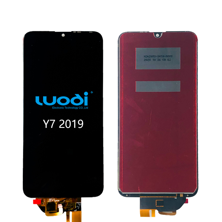 Y7 2019