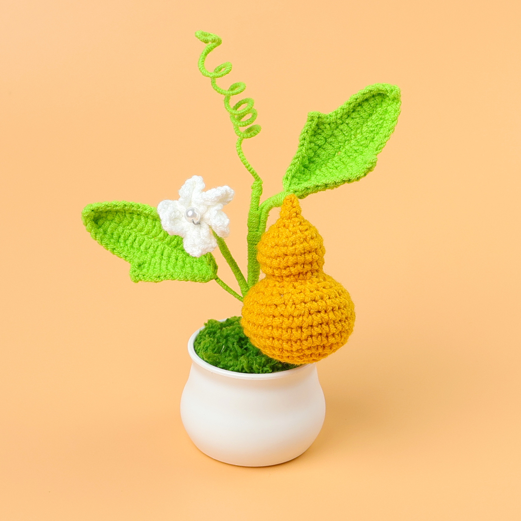 plante en pot de gourde