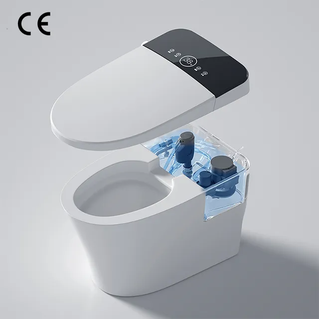 Inodoro inteligente de cerámica con iluminación nocturna para baño, Wc de una pieza con bidé estándar australiano