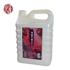 自有品牌有机散装洗发水基地OEM ODM洗发水供应商5L沙龙洗发水和护发素批发 - Product Image 2