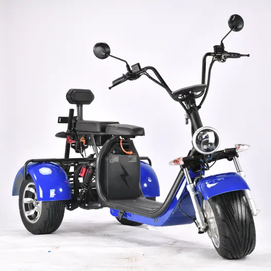 Etrike-triciclo eléctrico para adultos, modelo CP-3, batería dual, 2000W, 12AH/20AH/40AH, Citycoco