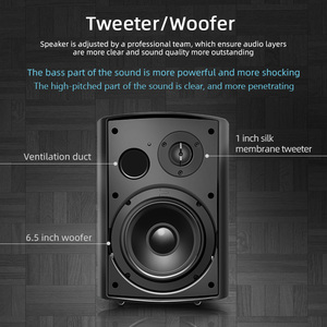 Altavoz de montaje en pared Cloudyx de gran oferta, potencia de 100W * 2 con amplificador incorporado, WiFi 2,4G y 5G, componentes de altavoz de audio para el hogar - Product Image 5
