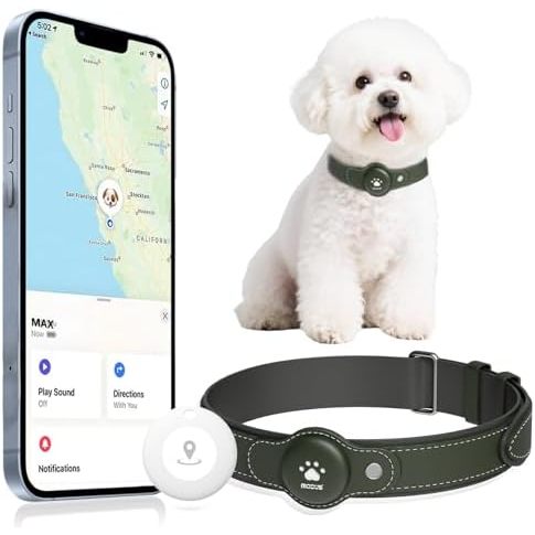 เครื่องติดตามสุนัข GPS สีเขียว
