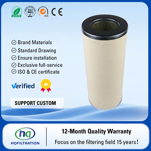 DM839-00-C hqfiltration khí đốt tự nhiên coalescing Lọc Cartridge - Product Image 2